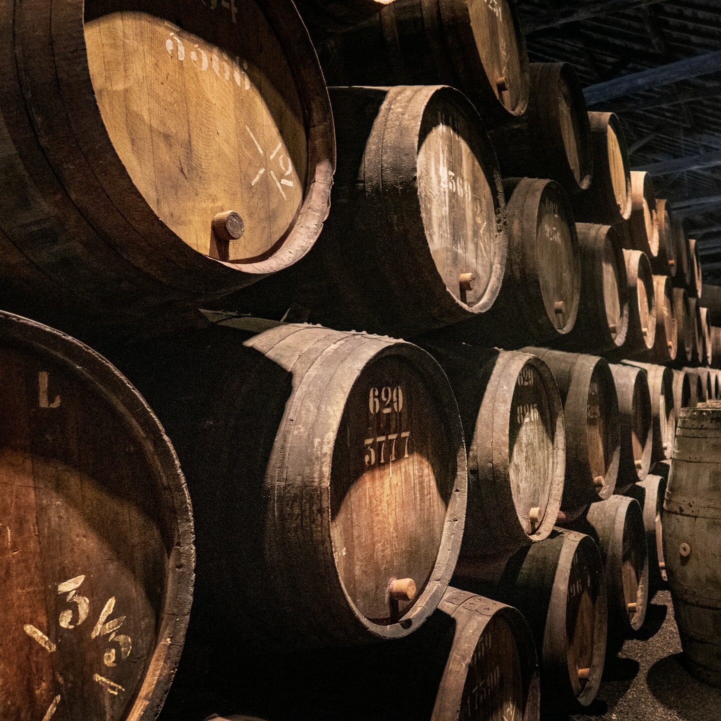 Rows of aged wooden barrels in a dimly lit cellar, some with numbers and markings visible.