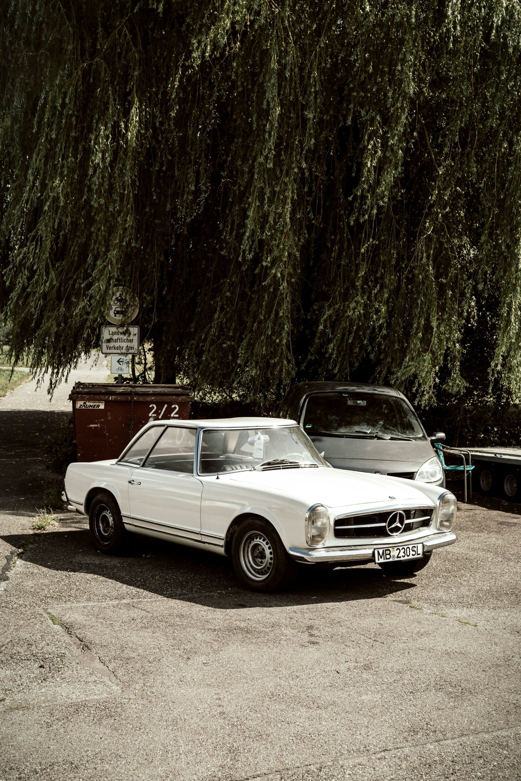 A white vintage Mercedes-Benz 230 SL parked under a weeping willow tree on a sunny day.