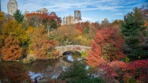 New York Loan Insider: Expert Loans & Financial Advice 2
